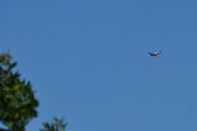 Morten 3 juli 2021 - SE-MLY over Høyenhall,  selv om jeg ikke fikk deg med en fugl så ønsker jeg deg en god tur tilbake igjen