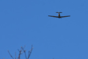 Morten 1 mai 2021 - LN-TEX merket KF568 over Høyenhall, men fikk jeg den med en fugl - nei...