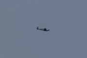 Morten 1 mai 2021 - LN-MAZ over Høyenhall, siste flyet i dag og det er en Saab 91D Safir fra 1962