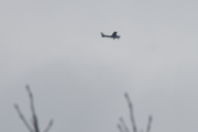 Morten 13 mai 2021 - Ukjent fly over Høyenhall