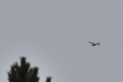 Morten 20 mars 2021 - Enda et ukjent fly over Høyenhall