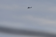Morten 17 mars 2021 - Cessna over Høyenhall