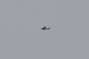 Morten 20 mars 2021 - Cessna over Høyenhall