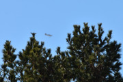 Morten 20 mars 2021 - Ukjent fly over Høyenhall