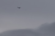 Morten 13 november 2021 - Småfly over Høyenhall, må være et Cessna, men det er for langt borte
