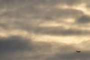 Morten 27 november 2021 - LN-FWP over Høyenhall, da får jeg med meg en fugl også