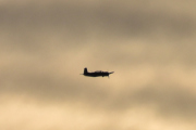 Morten 27 november 2021 - G-CGFS over Høyenhall, jeg gjetter Kina og følger den inn i solen
