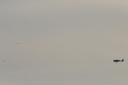 Morten 28 november 2021 - Småfly og fugler over Høyenhall, litt artig når vi tar med tre måker til venstre også