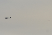 Morten 28 november 2021 - Småfly og fugler over Høyenhall, og her passerer dem fuglene på god avstand