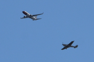 Småfly 2022 april