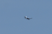 Morten 11 april 2022 - Småfly over Høyenhall