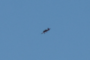 Morten 19 april 2022 - Småfly over Høyenhall på kvelden, kom nok for sent ut på verandaen her