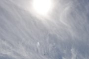 Morten 23 august 2022 - LN-FAW besøker Høyenhall, det er Follo flyklubb som er ute og flyr og vi får med solen