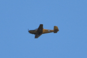 Morten 29 august 2022 - LN-LFK over Høyenhall, det er LFK Flyhobbyklubb som er ute med sin Saab Safir 91B-2 fra 1957