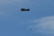 Morten 6 august 2022 - Småfly over Høyenhall, kan det være Norwegian Spitfire Foundation sammen med en fugl?