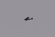 Morten 4 desember 2022 - Veteranfly over Høyenhall, mulig at det er en Piper PA-19 Super Cub
