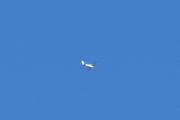Morten 7 september 2022 - Småfly over Høyenhall, at et Cessna fly kan fly så høyt, visste jeg ikke