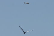 Morten 25 februar 2022 - Diamond DA-40NG over Høyenhall