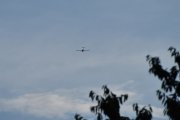 Morten 10 juli 2022 - Diamond DA40 NG over Høyenhall, men nå venter vi på Norwegian som skal fly over her med noen i familien