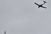Morten 18 juli 2022 - LN-FTS besøker Høyenhall, og sannelig fikk jeg damen med en svale også