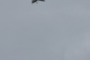 Morten 26 juli 2022 - LN-MTH over Høyenhall, se på fuglen da...