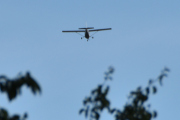 Morten 3 juli 2022 - Cessna over Høyenhall, det var ingen fugler i treet her, men det var det på Flydagen :-)