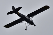 Morten 13 juni 2022 - LN-WNS besøker Høyenhall, dette må være Tor som flyr et Fieseler Fi 156 C-3 Storch