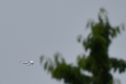 Morten 26 juni 2022 - Småfly over Høyenhall, det er et tre mellom meg og dette flyet