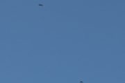 Morten 29 juni 2022 - To jagerfly F-35 over Høyenhall, selvfølgelig måtte dem komme mens jeg pratet i telefonen, men jeg stod i hvert fall på verandaen