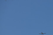 Morten 20 mai 2022 - Småfly besøker Høyenhall, så om du er et Van's vet jeg ikke, men jeg fikk deg sammen med en måke da