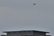 Morten 29 mai 2022 - Veteranfly over Høyenhall, du har 4 høyblokker på Manglerud, og her fikk jeg med en måke