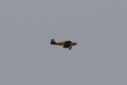 Morten 27 mars 2022 - Gult fly over Høyenhall