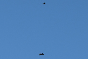 Morten 12 november 2022 - LN-TTB over Høyenhall