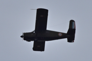 Småfly 2022 oktober