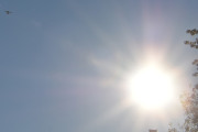 Morten 8 oktober 2022 - Sjøfly over Høyenhall, jeg har en mistanke på at det er LN-BGO som jeg fikk sammen med solen