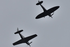 Småfly 2022 september