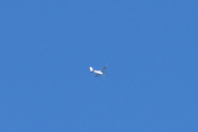 Morten 7 september 2022 - Småfly over Høyenhall, at et Cessna fly kan fly så høyt, visste jeg ikke