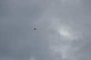 Morten 9 september 2022 - LN-NRF over Høyenhall, jeg kan sitere noe fra hjemmesiden som de har: Cessna 172 Skyhawk. Ny i 2006. Maskinen har en Lycoming IO-360-L2A motor på 180 Hk, god nyttelast og max reisehastighet på 126 knop. Det har Garmin com/nav/gps og autopilot. Fire personer og bagasje får plass. Type: Cessna 172 Skyhawk - Byggeår: 2006 - Antall seter: 4 - Motor: Lycoming O-360-L2A 180 Hk