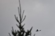 Morten 9 september 2022 - Siste småfly over Høyenhall, men det er i dag - det kommer mange flere senere :-)