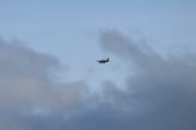 Morten 9 september 2022 - Småfly over Høyenhall, nå i september og oktober trenger Kjeller flyplass vår støtte - vær der dere som kan :-)