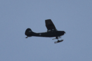 3 april 2023 - Cessna Birddog over Høyenhall over Høyenhall, det kan lande hvor som helst, jeg har vært med i det flyet