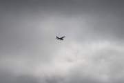 Morten 21 august 2023 - LN-NRF over Høyenhall, vi kan jo sitere dem mens vi følger flyet. Nedre Romerike Flyklubb, NRF eller NRFK, ble stiftet i 1955, og har status som et idrettslag innenfor Norges Luftsportforbund. Klubben ledes av et valgt styre, og drives av dyktige, utnevnte fagsjefer som sikrer et profesjonelt miljø med sikkerhet i høysetet