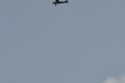 Morten 22 august 2023 - LN-BDO over Høyenhall, det er Gaute som er ute med sin Cessna 170B fra 1956