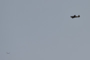 Morten 22 august 2023 - LN-BII over Høyenhall, det er Anne med sin Saab 91B Safir fra 1954, og første gang jeg traff henne var 13 mai 2018