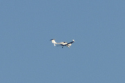 Morten 22 august 2023 - LN-FTS over Høyenhall
