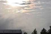Morten 24 august 2023 - LN-BGO over Høyenhall, det er dem tre gutta med sin Cessna A185F Skywagon fra 1974 som kommer i solnedgangen