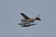 Morten 29 august 2023 - LN-KCA over Høyenhall, det er 3 gutter som kommer med sin Cessna A185E Skywagon fra 1967. Denne tok jeg bilde av 19 september 2020, men da var jeg i Drøbak