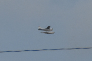 Morten 31 august 2023 - Sjøfly over Høyenhall, jeg er at det er en Cessna, men den er for langt unna