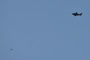 Morten 1 juni 2023 - LN-TTB over Høyenhall, vi tar med fuglen her også, mens dem flyr