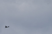 Morten 27 april 2024 - LN-MAV over Høyenhall, men det er et annet fly i luften der borte også. Det er ikke første gangen jeg ser LN-MAV sammen med andre fly. 1 og 11 april 2021 er et godt eksempel på det